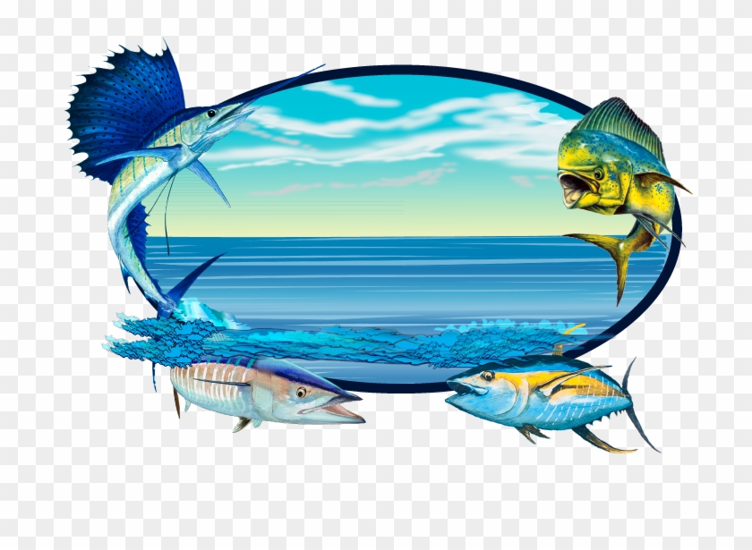 Sailfish Clipart Wahoo , Png Download - Clip Art Transparent Png #4390949