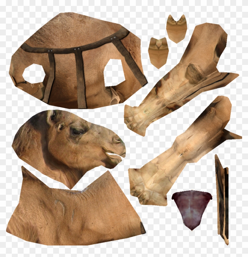Animal Camel C Belt - Snout Clipart #4391075