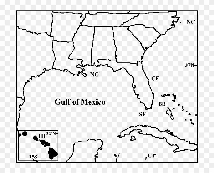Sampling Locations For Wahoo From North Carolina , - Map Clipart #4392308