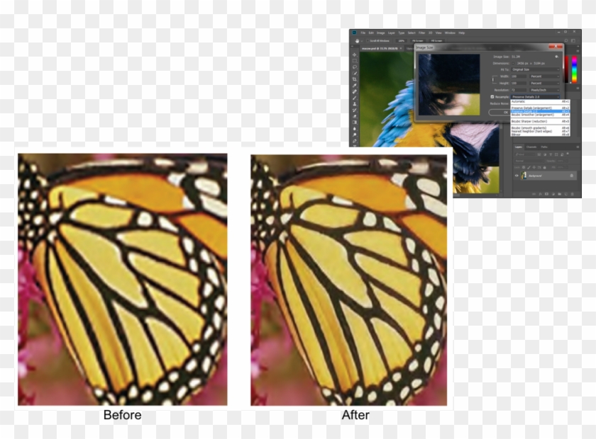 Download Or Try Out Everything In This Blog Post Here - Photoshop Preserve Details 2.0 Clipart