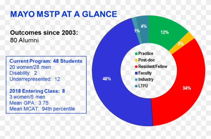 Mayo Clinic Mstp Facts And Statistics Chart - Medical Scientist Chart Clipart #4396150