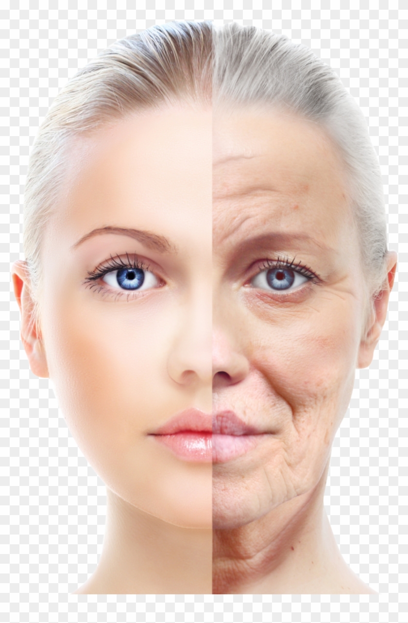 Poster For Face Cream Clipart