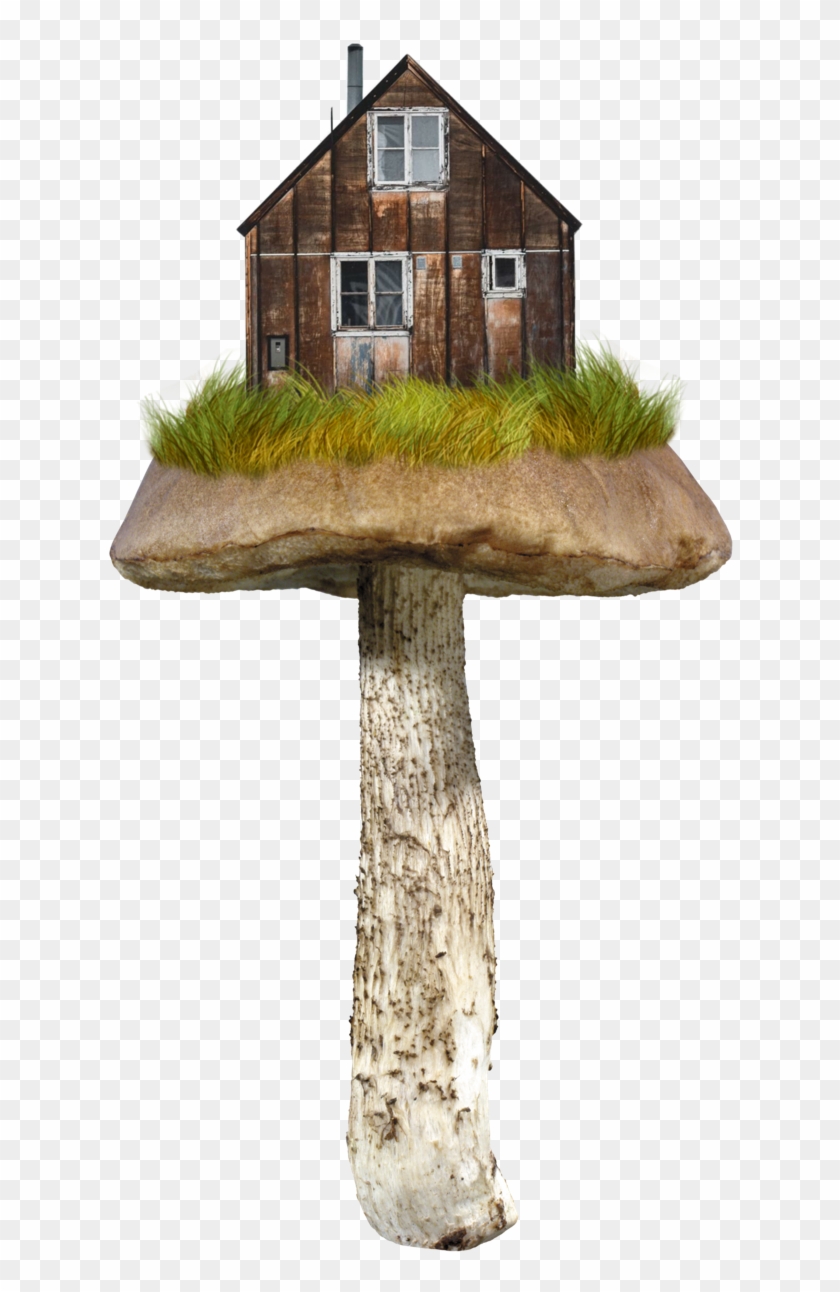 Vignette Umoristiche Sui Funghi Clipart