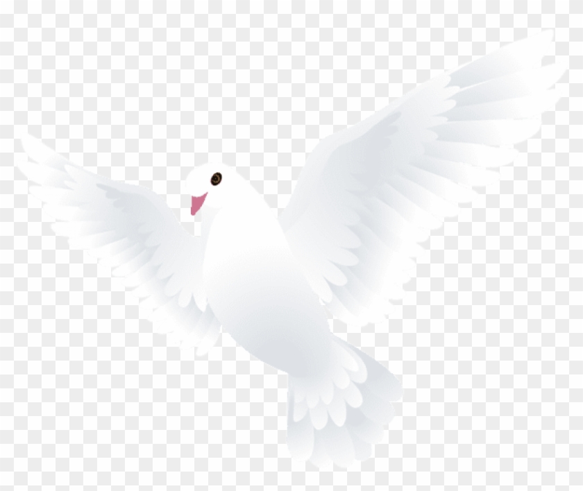 Free Png Download Dove Transparent Png Images Background - Kabutar Png Clipart