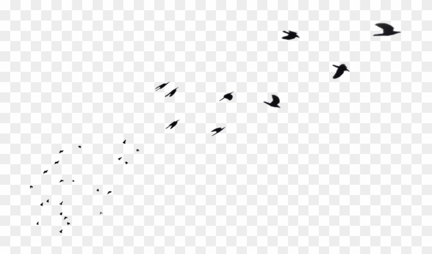 Flying In Png - Flock Clipart