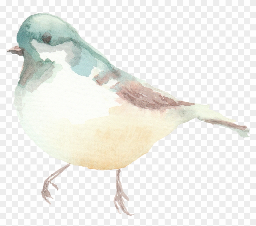 Spring Watercolor Birds Clipart