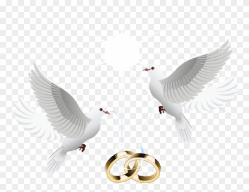Free Png Download Wedding Doves With Rings Png Images - Dove With Ring Png Clipart #440618