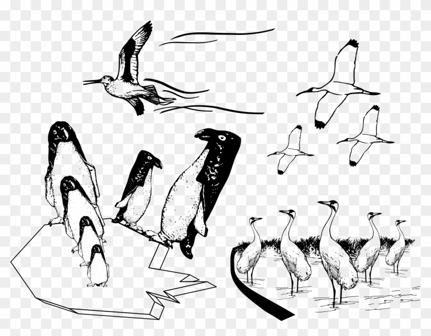 This Free Icons Png Design Of Many Birds Flying In Clipart