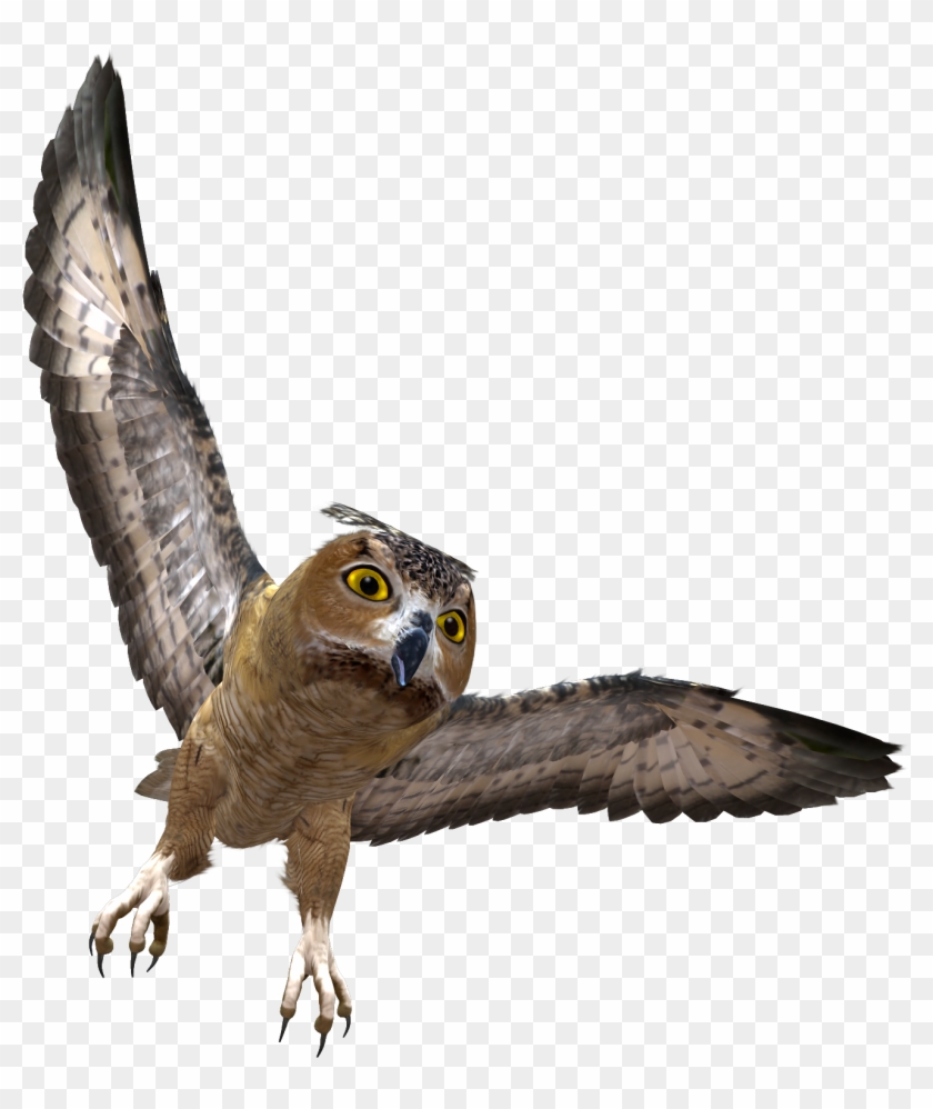 Owl In Flight Png Clipart - Owl Png Transparent Png