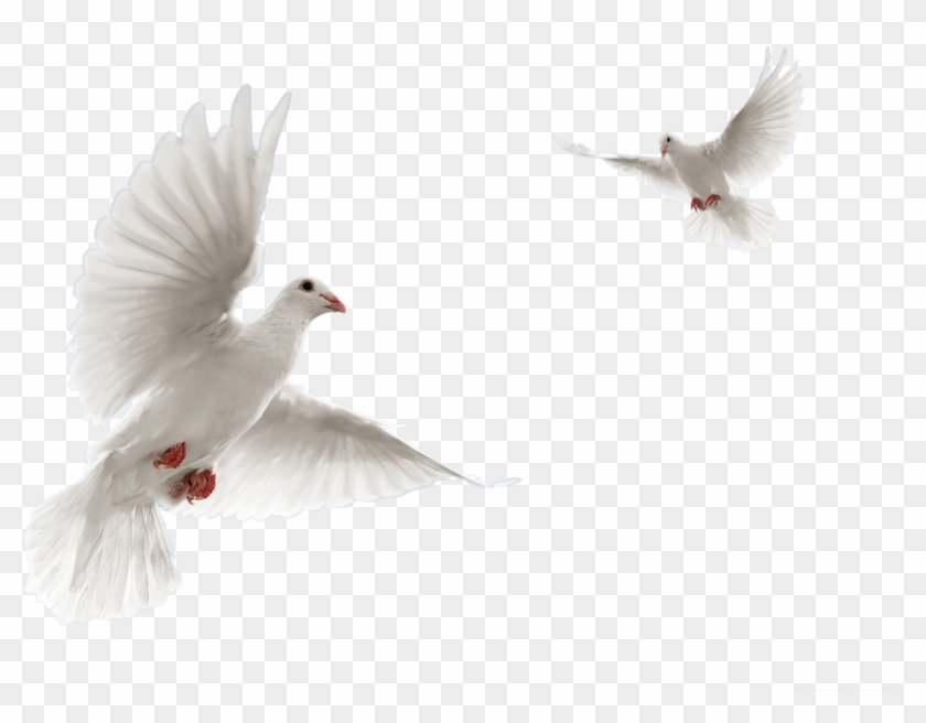 Tapash Editz Png Clipart #440794