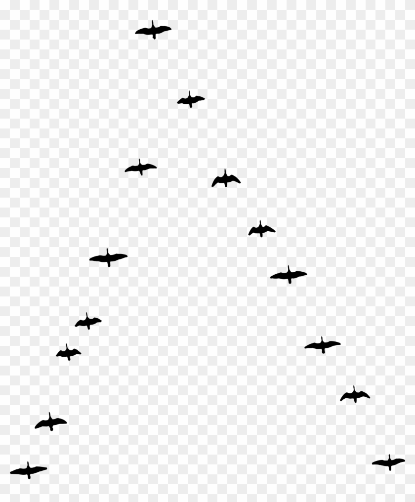 Big Image - Bird Migration Clipart #440960