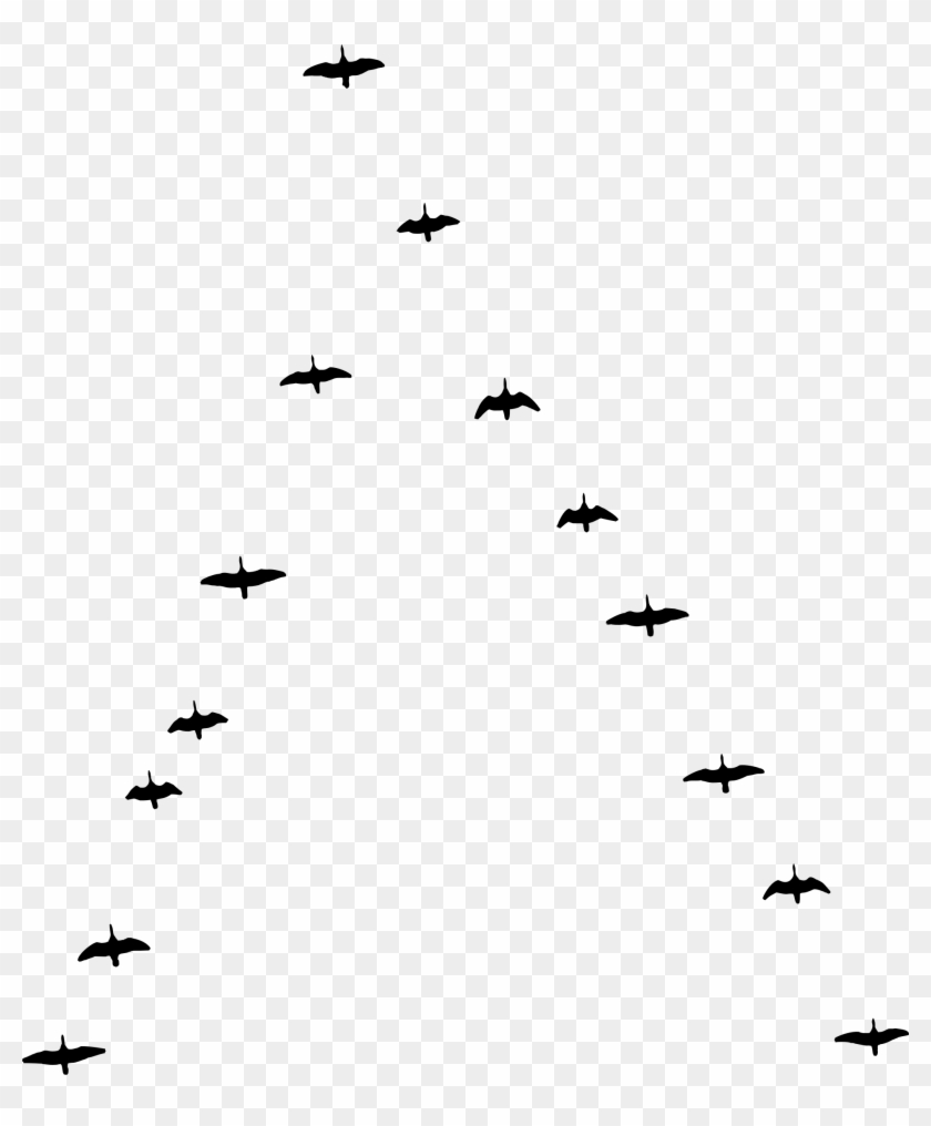 Big Image - Bird Migration Clipart