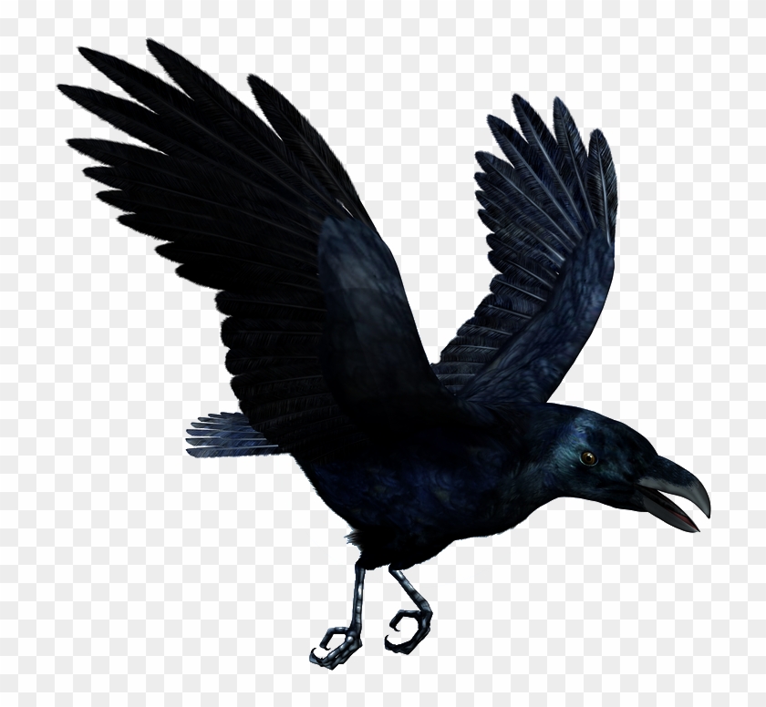 Raven Flying Png Hd - Mc Ride Death Tattoo Clipart