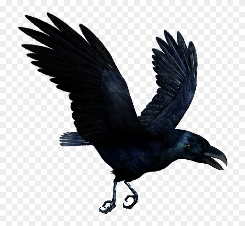 Raven Flying Png Hd - Mc Ride Death Tattoo Clipart #441068