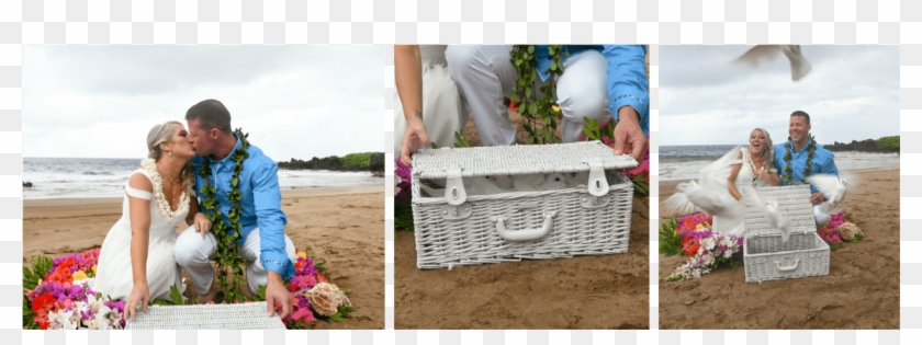 Our Doves Are Hand Raised Homing Birds, Upon Release - Garden Roses Clipart