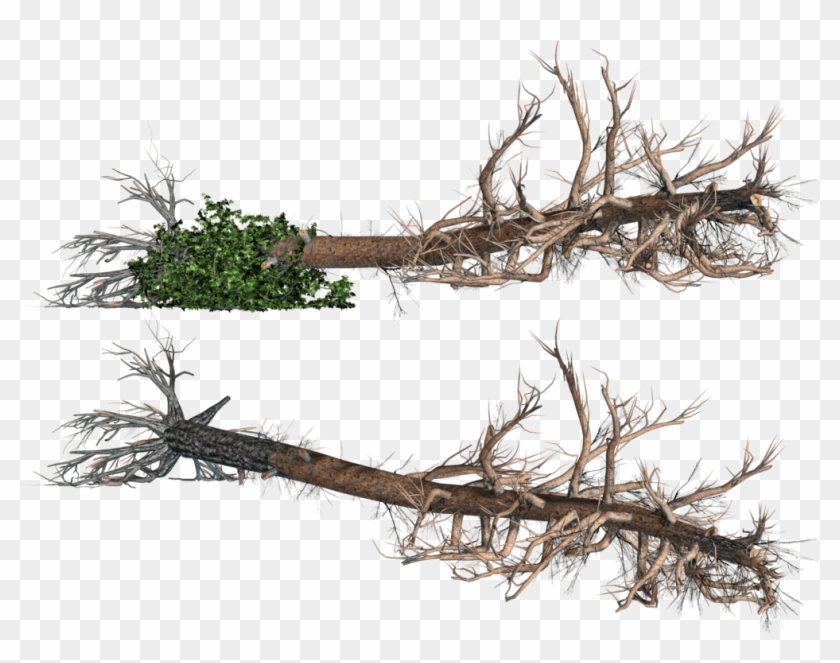 Dead Tree Clipart Fallen - Fallen Tree No Background - Png Download