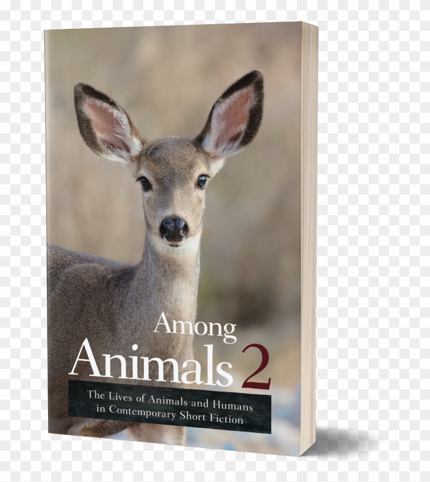 Cover Among Animals - Animals Clipart