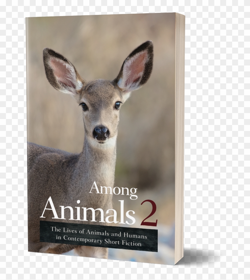 Cover Among Animals - Animals Clipart #441998