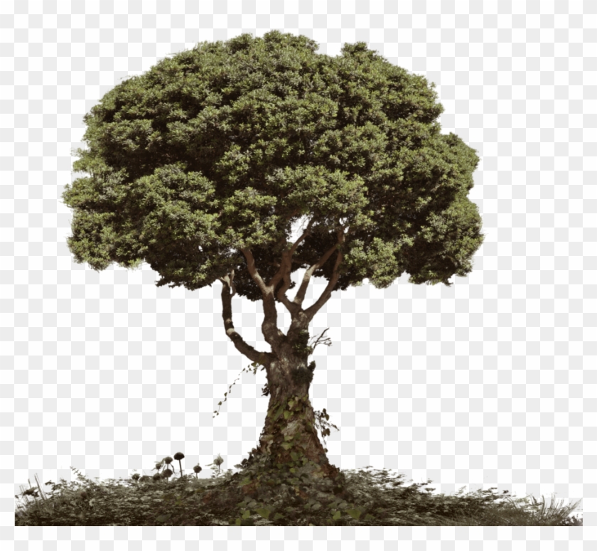 Right Click To Free Download This Logo Of The "tree - Tree Photo Manipulation Png Clipart