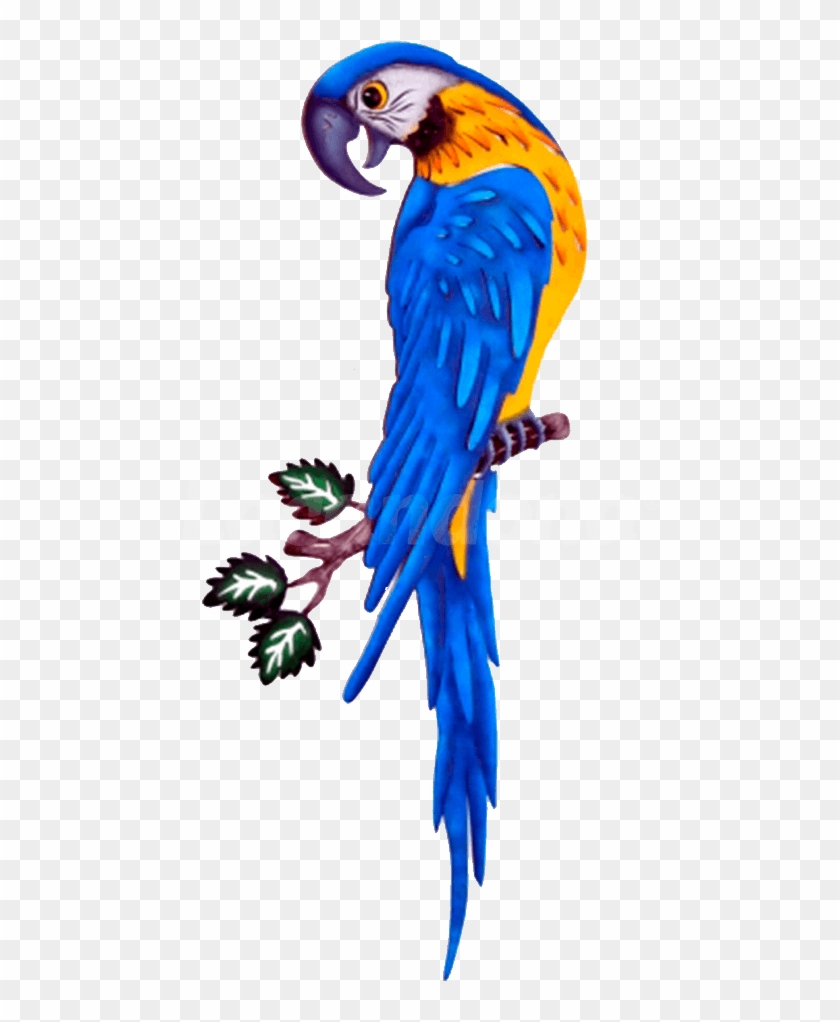 Dcorative Blue Macaw Clipart #442719