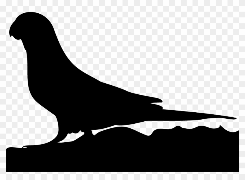 Parrots - Parrot Clipart #443015
