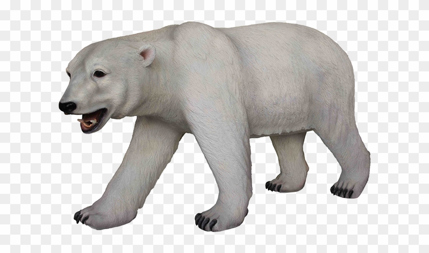 Download Polar Bear Png Transparent Images Transparent - Polar Bear Mouth Open Clipart