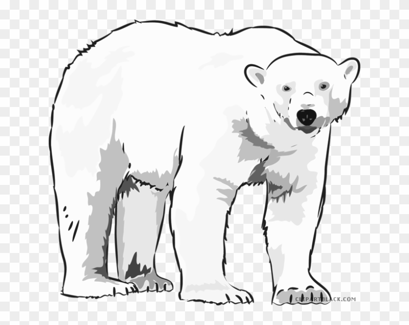 Graphic Free Library Black And White - Arctic Polar Bear Clipart - Png Download