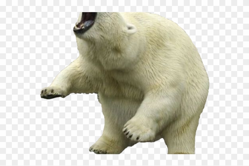 Portable Network Graphics Clipart