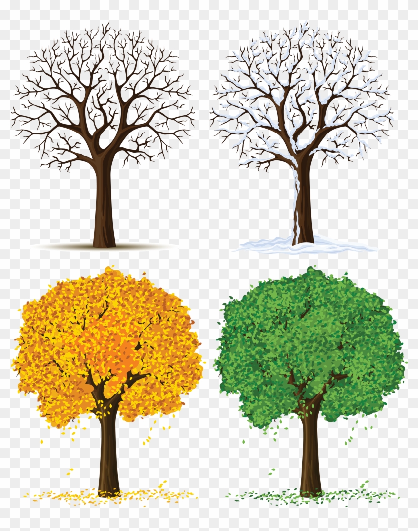 Png Library Techflourish Collections With Clipartfest - 4 Seasons Tree Png Transparent Png #444000