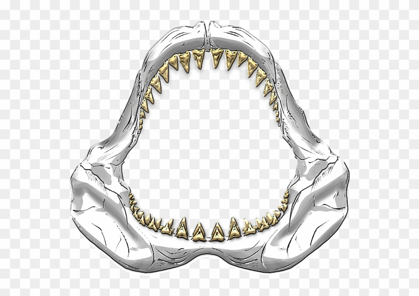 600 X 600 6 - Great White Shark Jaws Drawing Clipart #446315