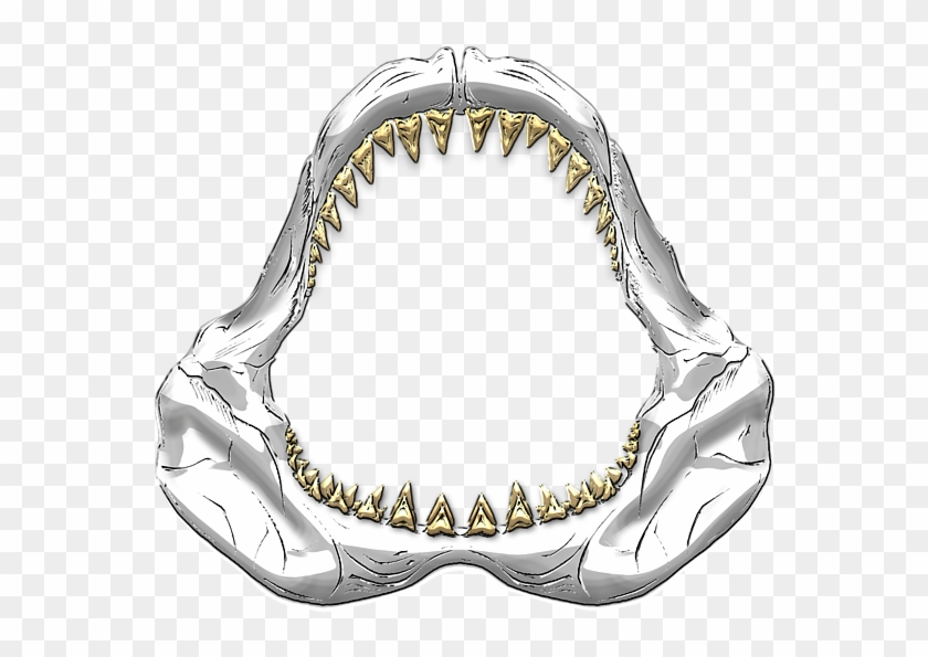 600 X 600 6 - Great White Shark Jaws Drawing Clipart