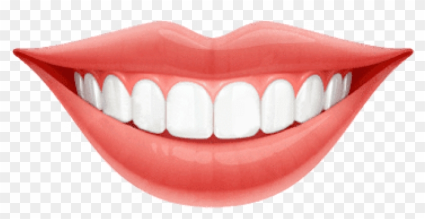 Download Bright Smile Teeth Png Images Background - Teeth Png Clipart #446365