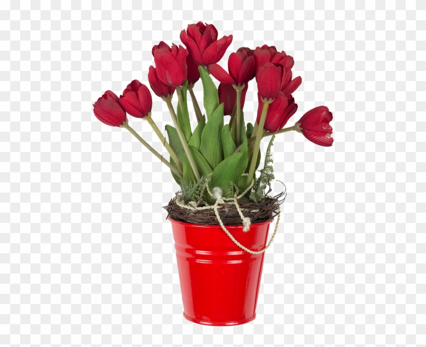 Red Tulips In Bucket - Chậu Hoa Hồng Png Clipart #446543