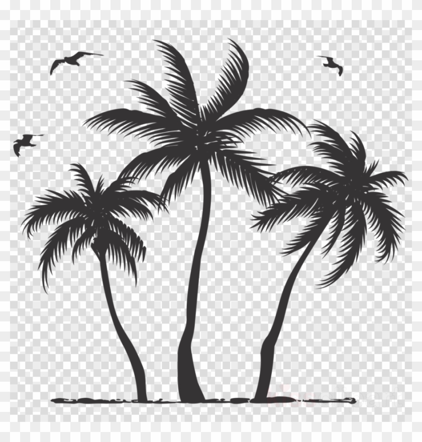 Download Palm Tree Silhouette Clipart Palm Trees Clip - Transparent Png Palm Tree Silhouette