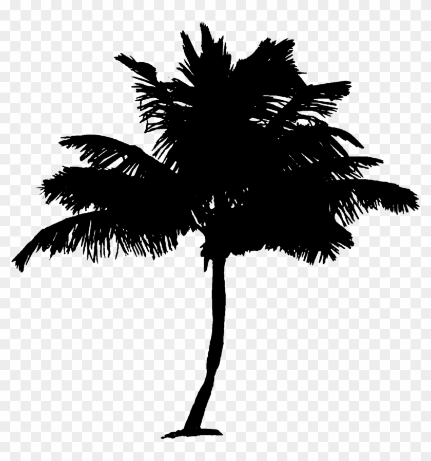 Palm Tree Coconut Palm Tree Tree - Pohon Siluet Png Clipart #447052