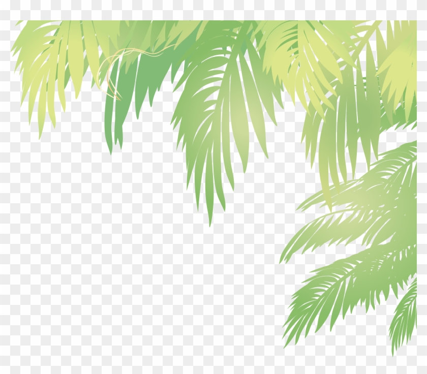 3612 X 2995 20 - Palm Leaves Png Vector Clipart #447201