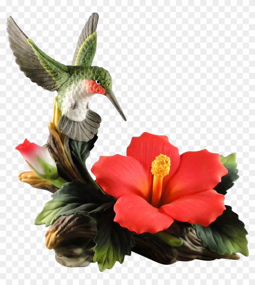 Hibiscus Flower With Hummingbird Clipart #447337