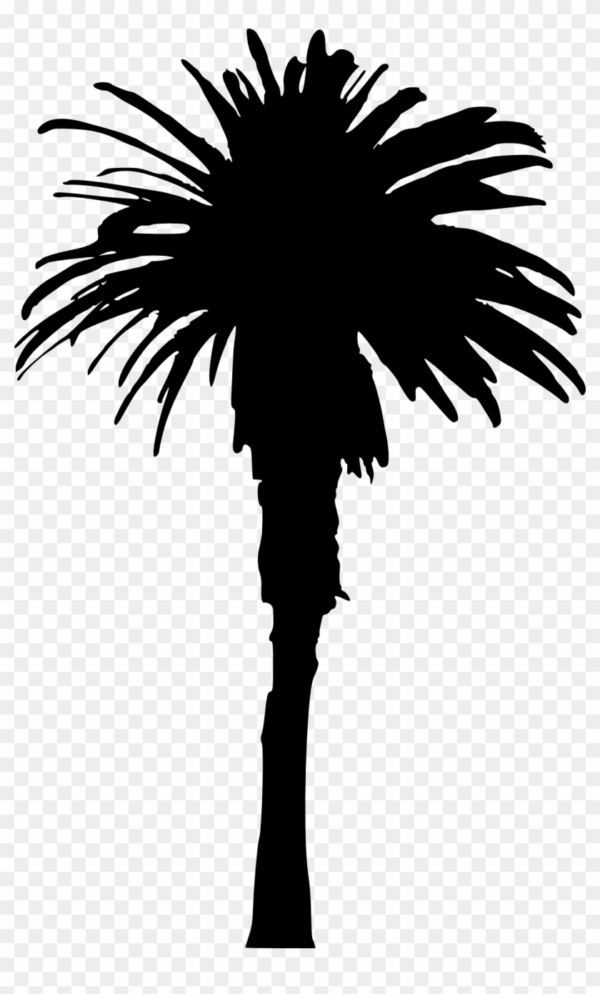 15 Palm Tree Silhouettes Png Transparent Background - Single Palm Tree Silhouette Clipart #447389