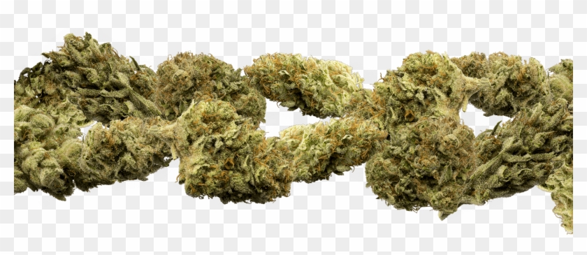 Weed Png Clipart #448500