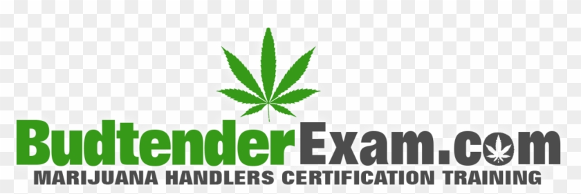 Ahit Certified Clipart #448809