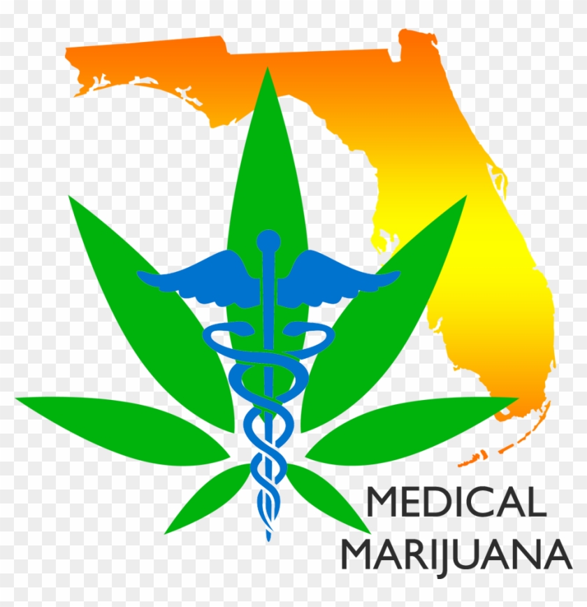 Going Green, A Journey Of Medical Cannabis - Transparent Silhouette Florida Outline Clipart #449397