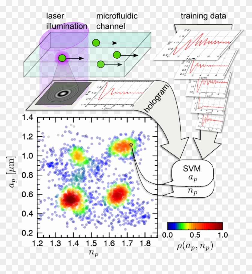 Colloidal Spheres Flowing Down A Microfluidic Sample - Hologram Deep Learning Clipart #449780