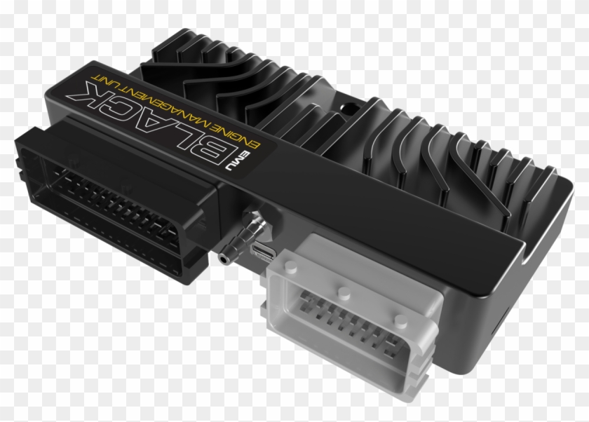 Ecumaster Emu Black Clipart #4400434