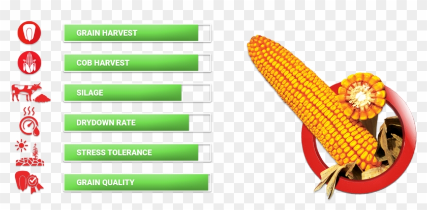 Titos Fao - Smile Clipart