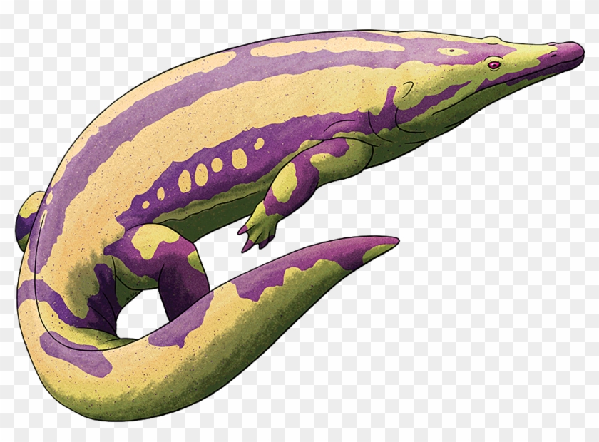 “ Amphibian August - Illustration Clipart #4402187