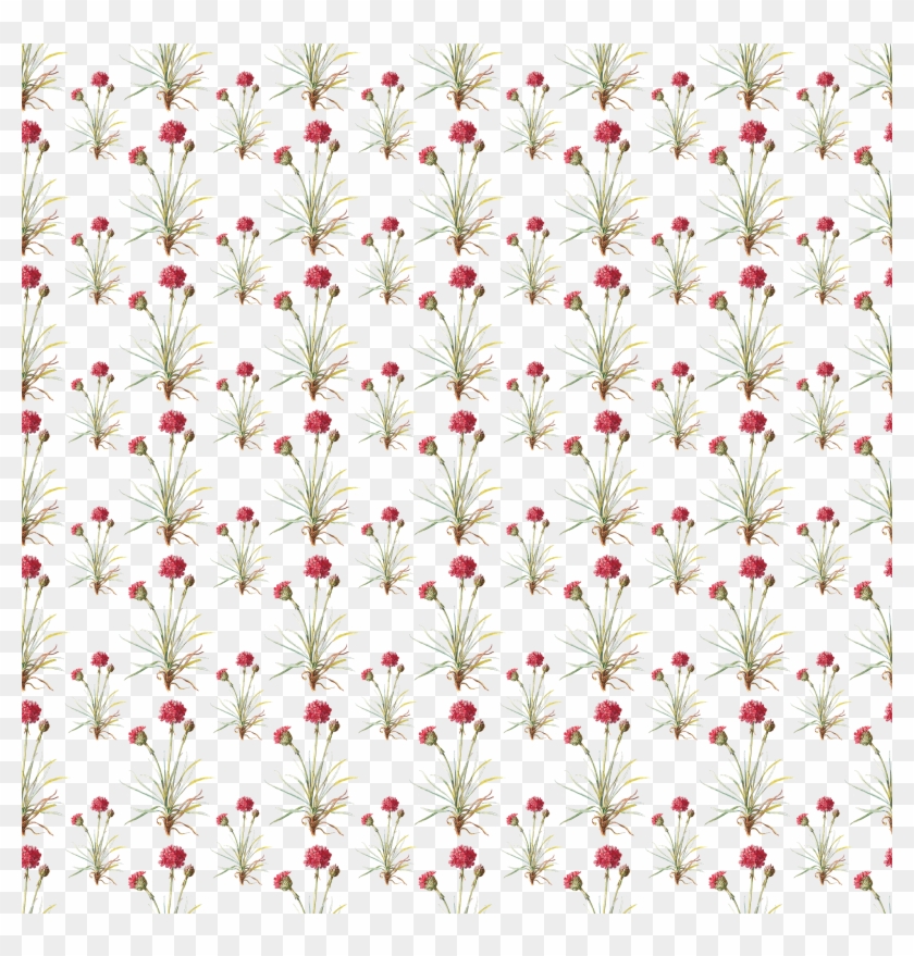 Digital Paper Overlay - Floral Design Clipart #4404069