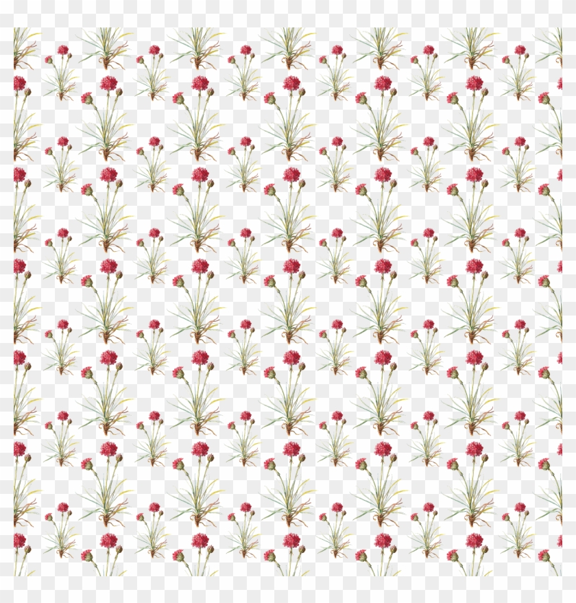 Digital Paper Overlay - Floral Design Clipart