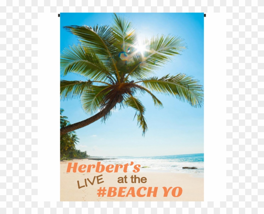 Tropical Wallpaper Mac Clipart