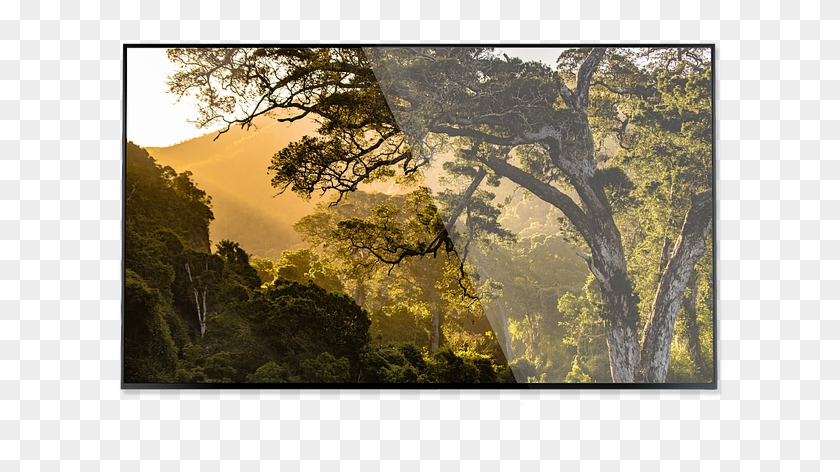 4k - Hue Scene Clipart #4405622