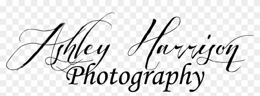 Ashley Harrison Photography - Calligraphy Clipart #4407556